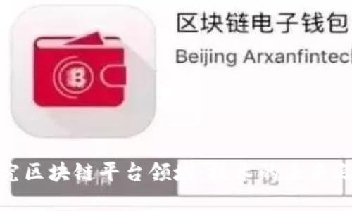 探究区块链平台领域：技术的未来之路