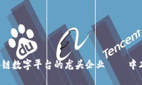 区块链数字平台的龙头企业——中本聪？