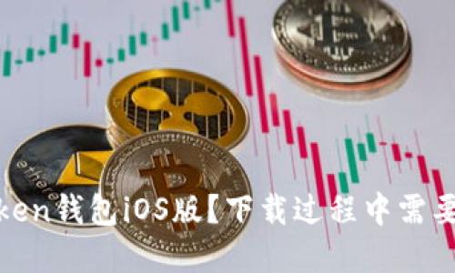 如何下载iimToken钱包iOS版？下载过程中需要注意哪些问题？