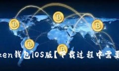 如何下载iimToken钱包iOS版？下载过程中需要注意哪