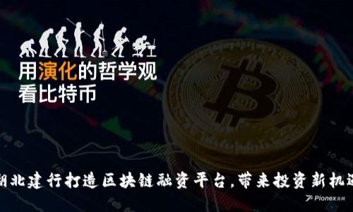 湖北建行打造区块链融资平台，带来投资新机遇