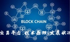 区块链底层交易平台：技术原理、发展状况和应