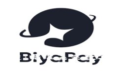 数字平台区块链：瞄准未来数字经济的新引擎