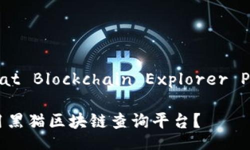 Black Cat Blockchain Explorer Platform

如何使用黑猫区块链查询平台？
