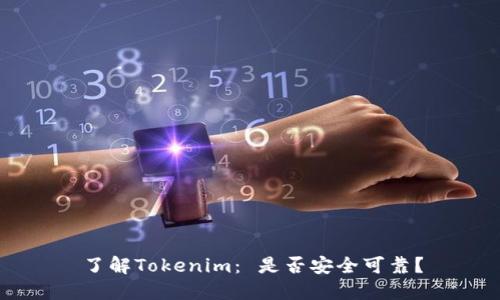 了解Tokenim: 是否安全可靠?