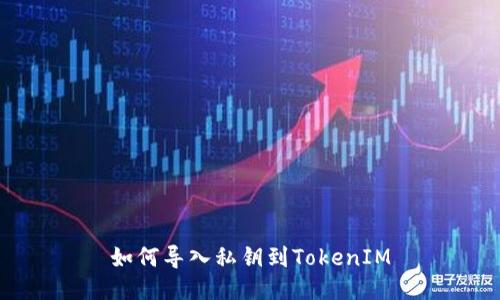 如何导入私钥到TokenIM
