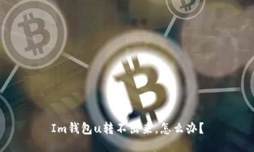 Im钱包u转不出来,怎么办?