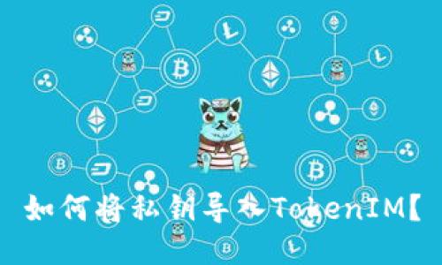 如何将私钥导入TokenIM？