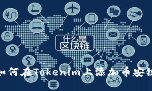 如何在Tokenim上添加币安链
