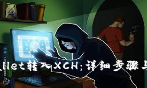 如何通过TPWallet转入XCH：详细步骤与常见问题解答