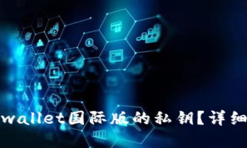 如何找回tpwallet国际版的私钥？详细步骤与技巧