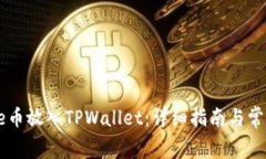 如何将Doge币放入TPWallet：详细指南与常见问题解