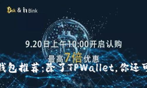 2023年最佳数字钱包推荐：除了TPWallet，你还可以选择哪些钱包？