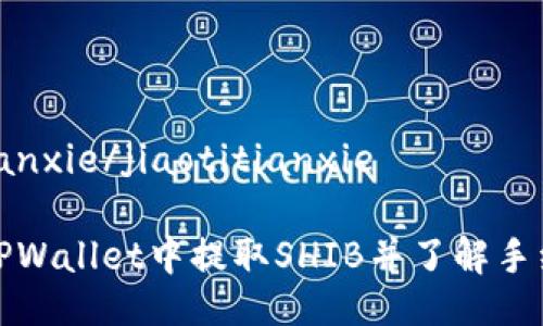 jiaotitianxie/jiaotitianxie

如何在TPWallet中提取SHIB并了解手续费详情