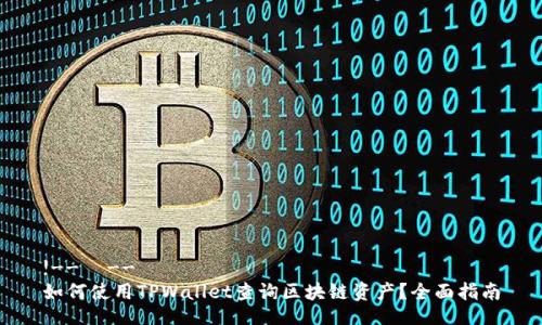 !--  --
如何使用TPWallet查询区块链资产？全面指南