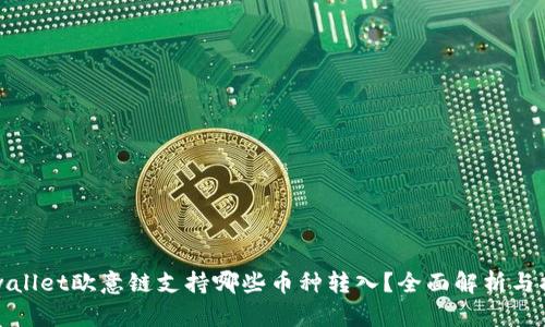 tpwallet欧意链支持哪些币种转入？全面解析与指南