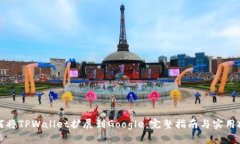 如何将TPWallet扩展到Google：完整指南与实用技巧