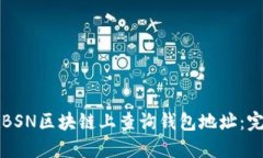 如何在BSN区块链上查询钱包地址：完整指南