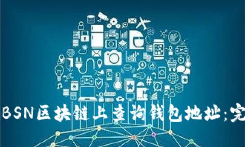 如何在BSN区块链上查询钱包地址：完整指南