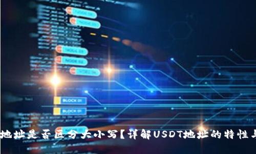 USDT钱包地址是否区分大小写？详解USDT地址的特性与使用技巧