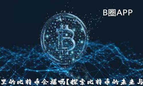 
钱包里的比特币会爆吗？探索比特币的未来与风险