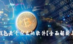: 区块链钱包是干什么的软件？全面解析与使用指