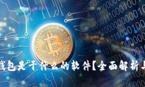 : 区块链钱包是干什么的软件？全面解析与使用指南