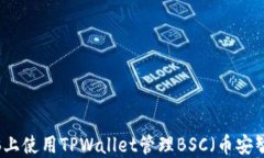 如何在电脑上使用TPWallet管理BSC（币安智能链）资