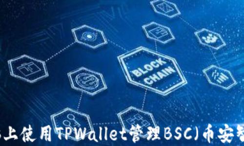 
如何在电脑上使用TPWallet管理BSC（币安智能链）资产