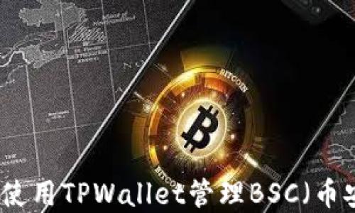 
如何在电脑上使用TPWallet管理BSC（币安智能链）资产
