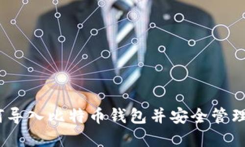 全面指南：如何导入比特币钱包并安全管理您的数字资产