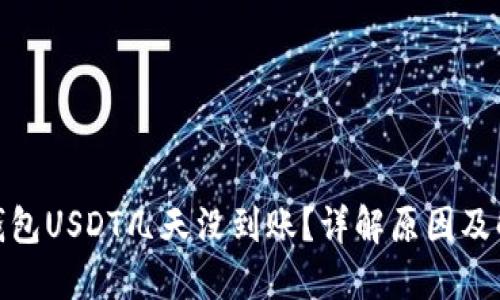 : 麦子钱包USDT几天没到账？详解原因及解决方案