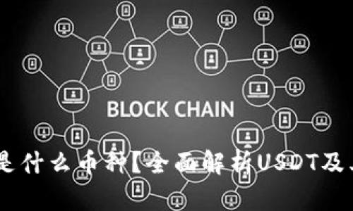 USDT钱包是什么币种？全面解析USDT及其使用场景