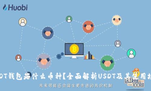 USDT钱包是什么币种？全面解析USDT及其使用场景