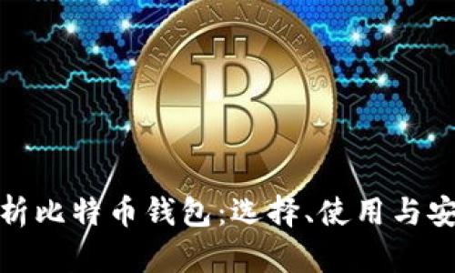全面解析比特币钱包：选择、使用与安全策略