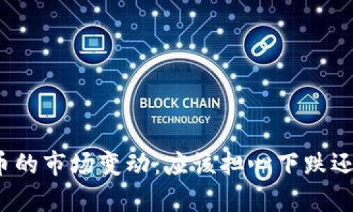 tpwallet货币的市场变动：应该担心下跌还是期待上涨？