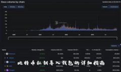 比特币私钥导入钱包的详细指南