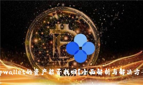 tpwallet的资产能否找回？全面解析与解决方案