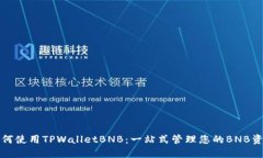 如何使用TPWalletBNB：一站式管理您的BNB资产