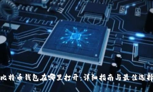 比特币钱包在哪里打开：详细指南与最佳选择
