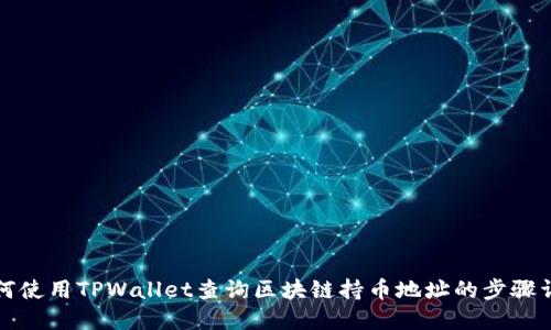 如何使用TPWallet查询区块链持币地址的步骤详解