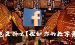 USDT账户钱包是什么？探秘你的数字资产管理助手