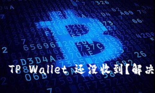 为什么从交易所提币到 TP Wallet 还没收到？解决方案与注意事项大揭秘