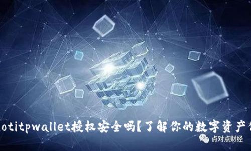 bianotitpwallet授权安全吗？了解你的数字资产保护！