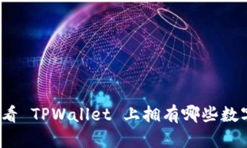 如何查看 TPWallet 上拥有哪些数字货币？