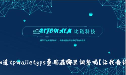 你知道tpwalletgps费用在哪里调整吗？让我告诉你！