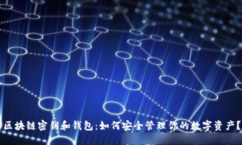区块链密钥和钱包：如何安全管理你的数字资产？