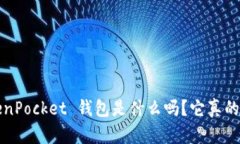 你知道 TokenPocket 钱包是什么吗？它真的去中心化