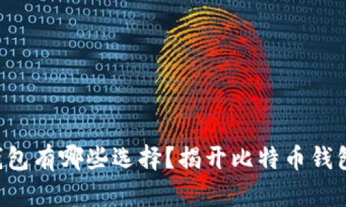 比特币钱包有哪些选择？揭开比特币钱包的秘密！