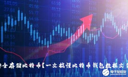 如何安全存储比特币？一文搞懂比特币钱包数据文件.dat！